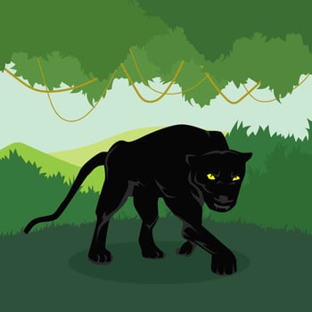 Black Panther Illustration vector