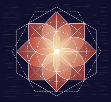 Vector Hand Drawn Transparent Flower Illustration