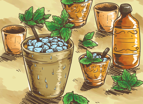 Mint Julep Illustration vector