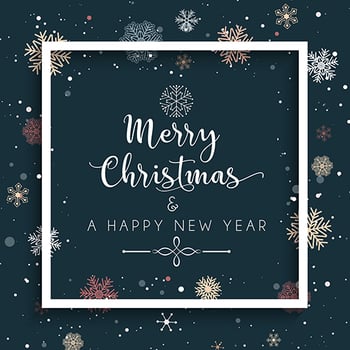 Christmas and New Year background with snowflakes and decorative vector