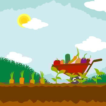 Vegetable Garden Illustration vector
