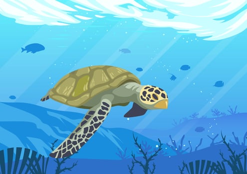 Turtles vector