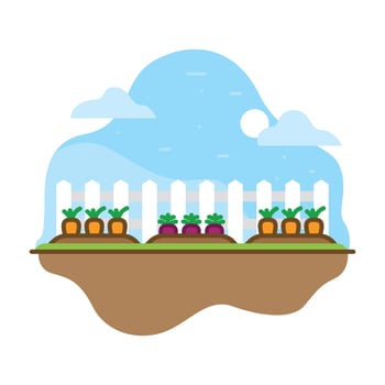 Vegetable Garden Illustration vector