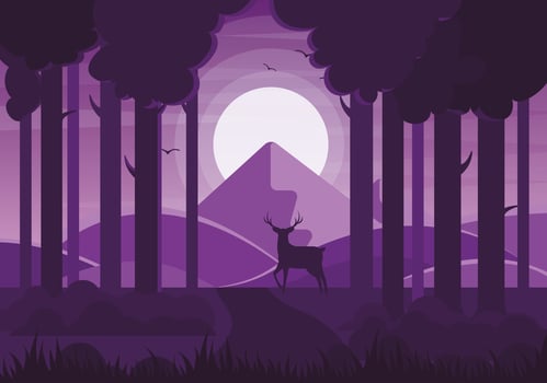 Vector Sunset Landscape Illustration