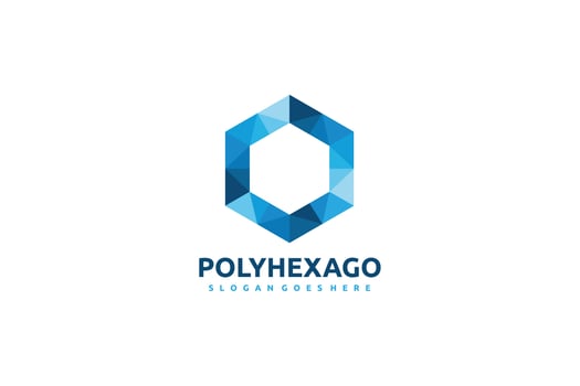 Polygonal Hexagon Logo vector