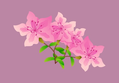 Beautifully Azalea Flowers Vectors