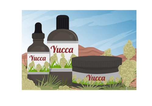 Yucca Scene And Yucca Medicine Extract Of Vector