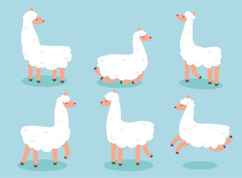 White Illama On Blue Vector