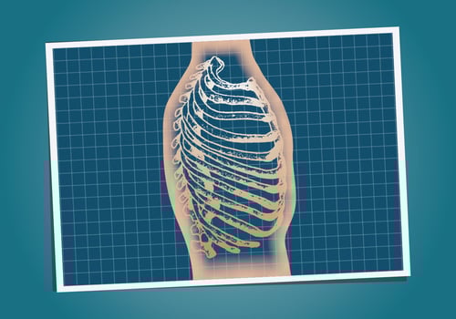 ribcage 2 vector