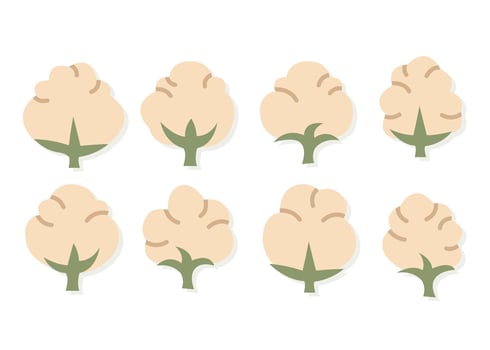 Cotton Plants Pack vector