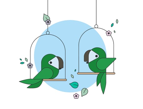 Parrot Vector