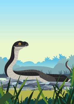 Black Snake vector