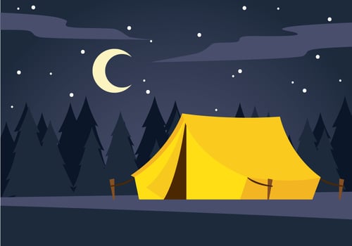 Quiet Night Camp vector