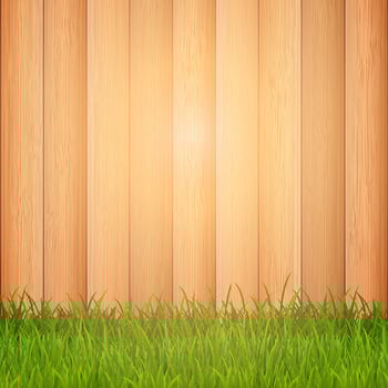 Grass on wooden background  vector