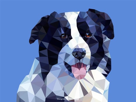 Abstract Border Collie Dog Portrait In Low Poly Vector Design