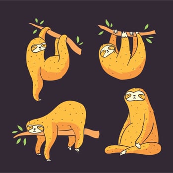 Sloth Vector