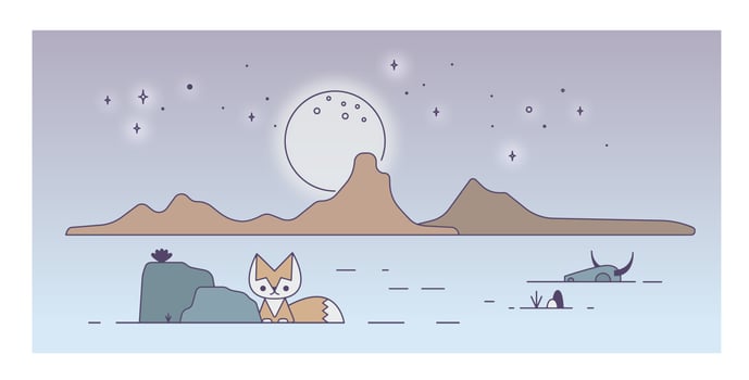 Night Desert Vector