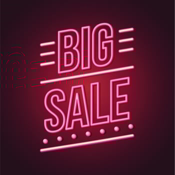 Neon Sign Big Sale vector