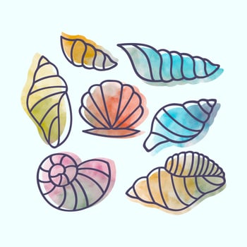 Vector Hand drawn Seashells 