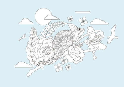 Coloring Book Animals Vector