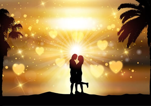 Romantic couple against a sunset sky vector