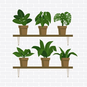 Potted Plants vector