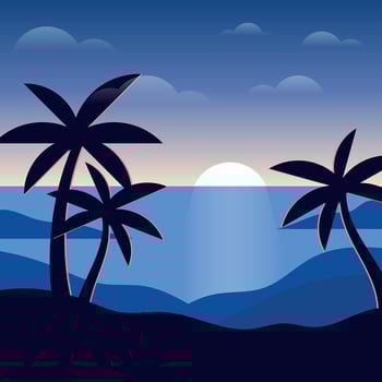 Night Time Beach Illustration vector
