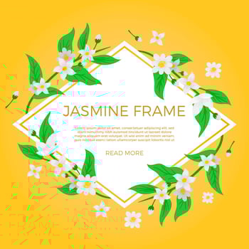 Flat Jasmine Flower Background Template Vector
