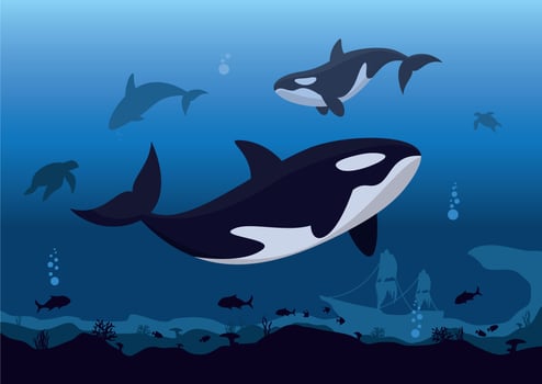 Killer Whales  vector