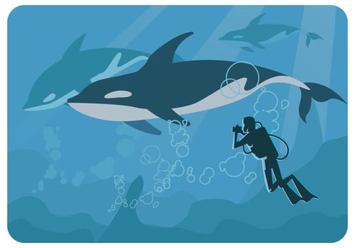 Whales Photographer Vector