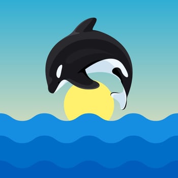 Outstanding Killer Whales Vectors