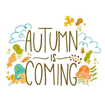 Autumn Background with Leaves, Branches And Mushrooms vector