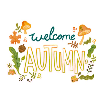 Cute Autumn Elements As Leaves, Mushrooms And Branches With Lettering vector