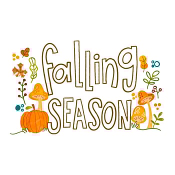 Watercolor Autumn Leaves, Flowers and Mushrooms vector