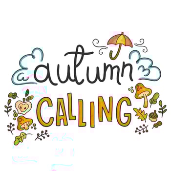 Cute Fall Elements With Lettering vector
