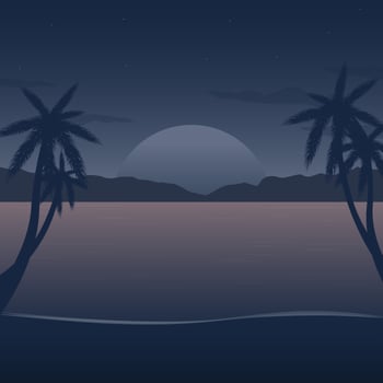 Night Time Beach Vector Illustration