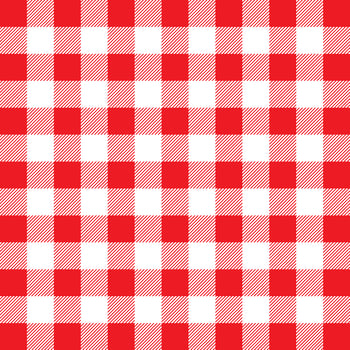 Red and white gingham pattern  vector