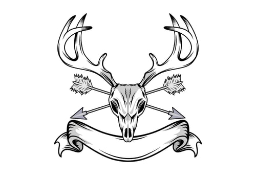 Deer Skull Illustration vector