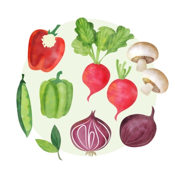 Vector Watercolor Set of Vegetables