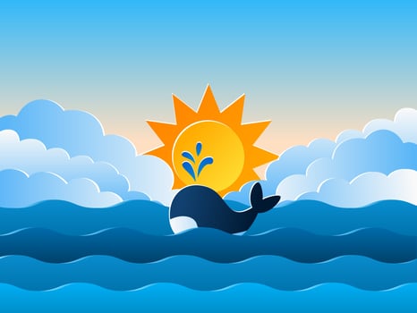 Amazing High Seas Identity Vectors