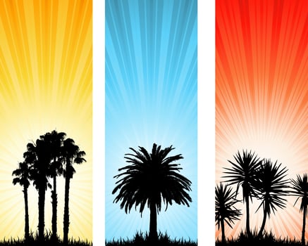 summer backgrounds  vector