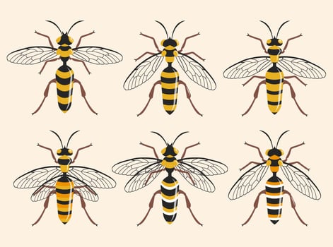 Various Type Of Hornet Vector Illustration