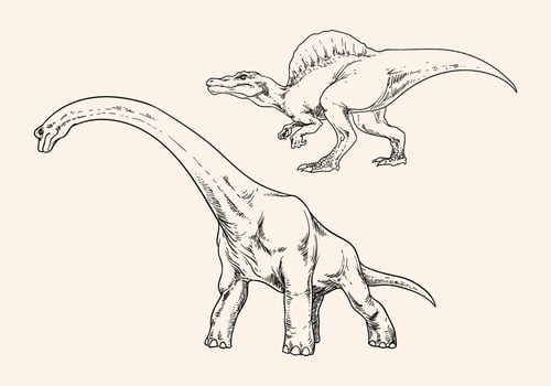 Hand Drawing Dinosaur vector