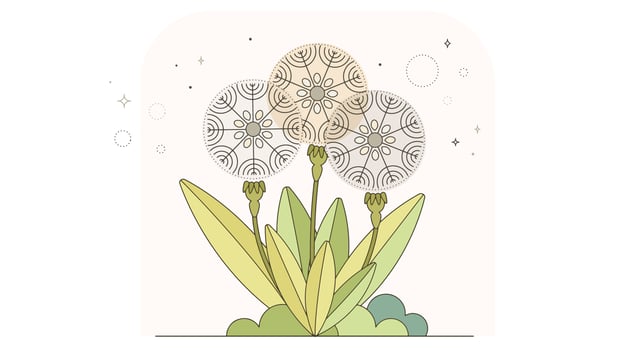Dandelion Vector