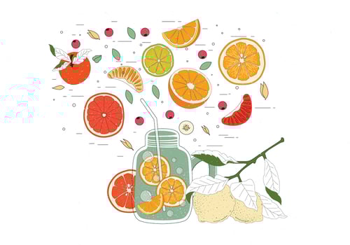 Vintage Citrus Ingredients Illustrations Vector
