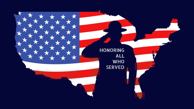 Outstanding Veteran's Day Vectors