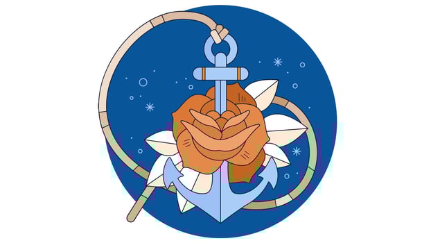Anchor Vector