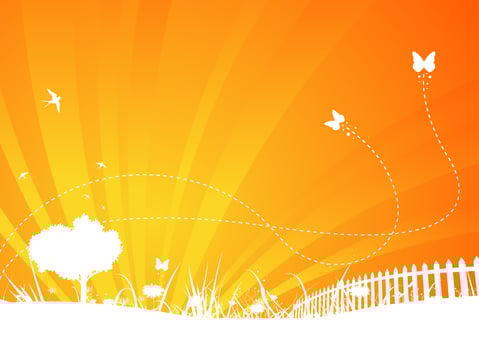 Garden Background With Butterflies And Swallows vector