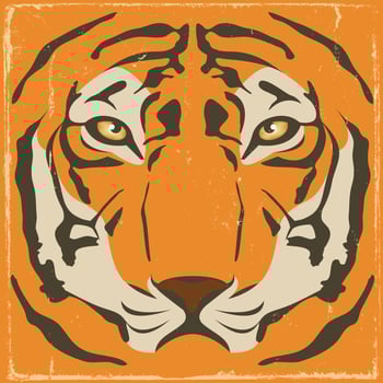 Vintage Tiger Stripes On Grunge Background vector