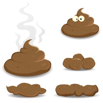 Dung, Pooh And Other Shit Collection vector